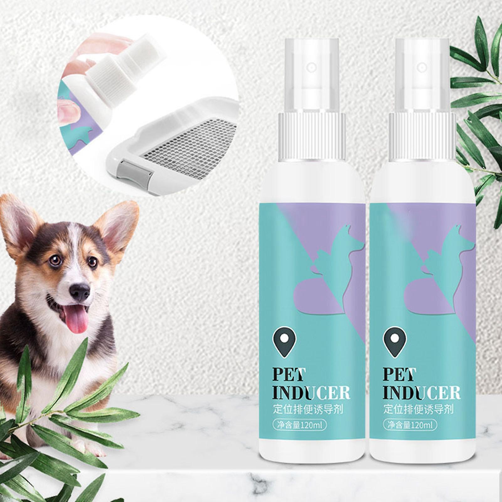 Spray d’apprentissage de la propreté pour animaux de compagnie Spray d’aide à l’apprentissage de la propreté doux et sûr pour chiens chiots chats intérieur extérieur 120 ml