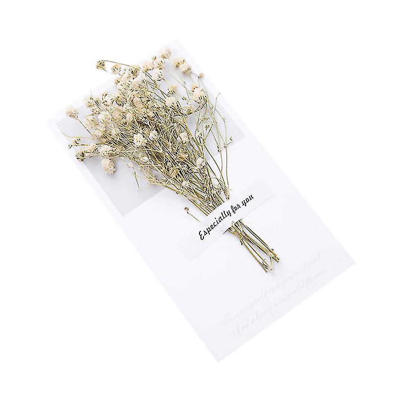 6pcs Carte décorée de fleurs séchées