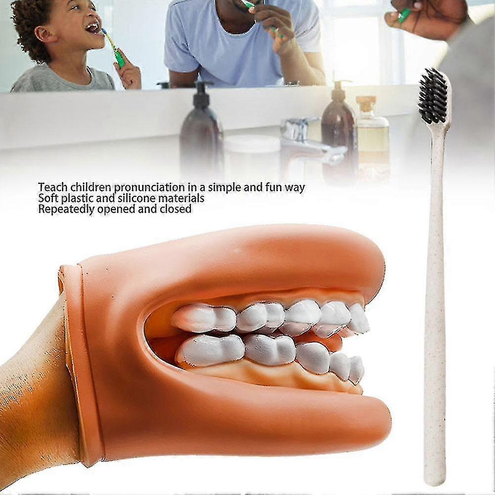 Wearable Dentist Teeth Model,study Standard Model Demonstration For Dentalteach
