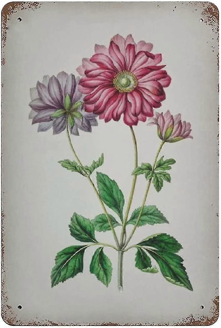 Placa de Metal Vintage Hyacinth Vintage Tin Poster Metal Sign 8x12 Polegadas OU 12x16 Polegadas Modo 1553