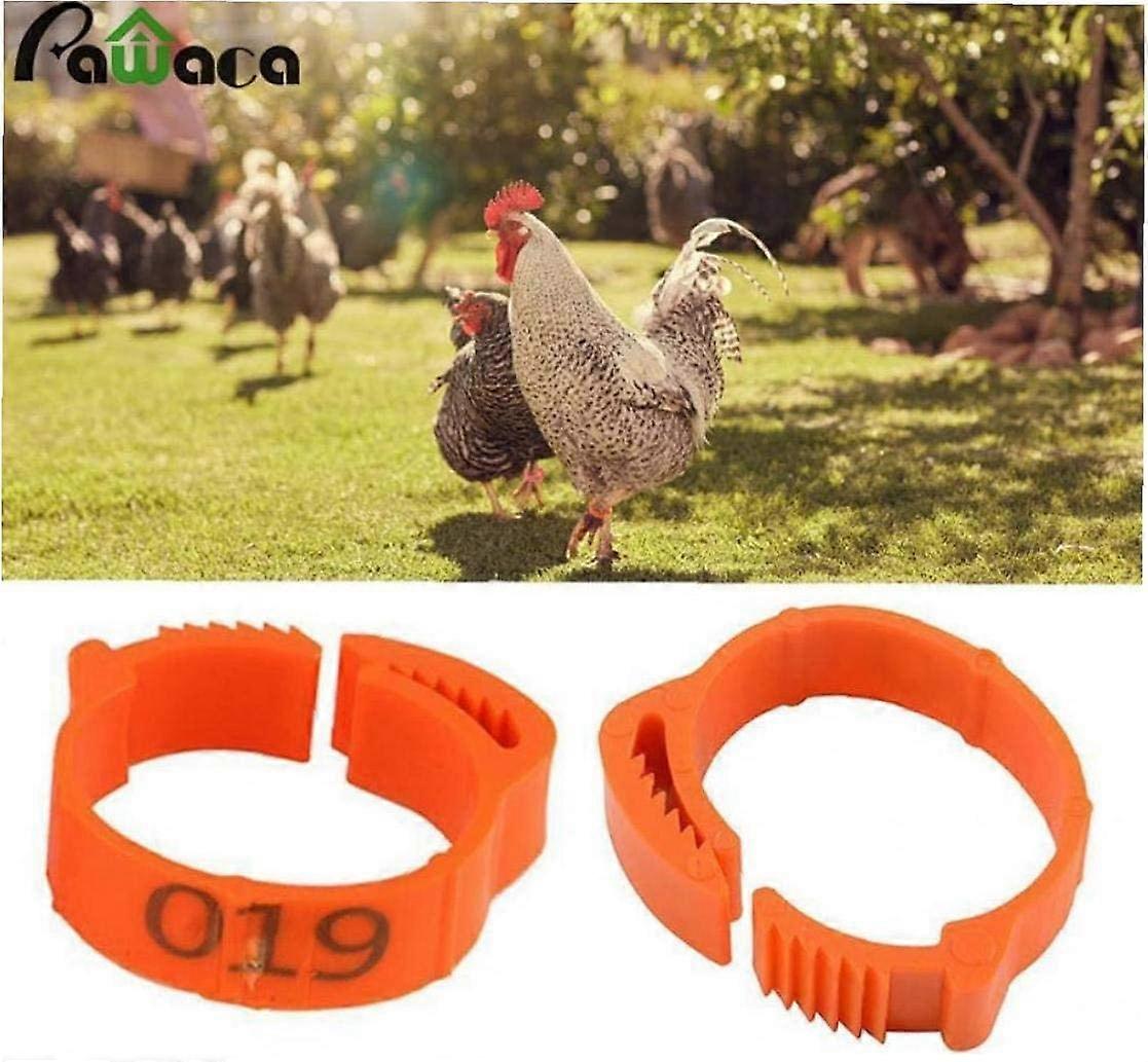 Poultry 100 Pack Adjustable Chicken Leg Rings with Clips for Poultry Marking and Rings Farm and Ranch (Orange)