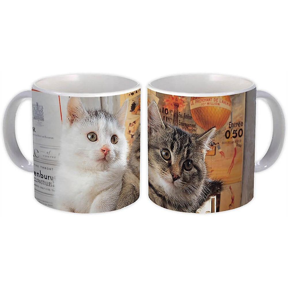 Gift Mug: Cat Animal
