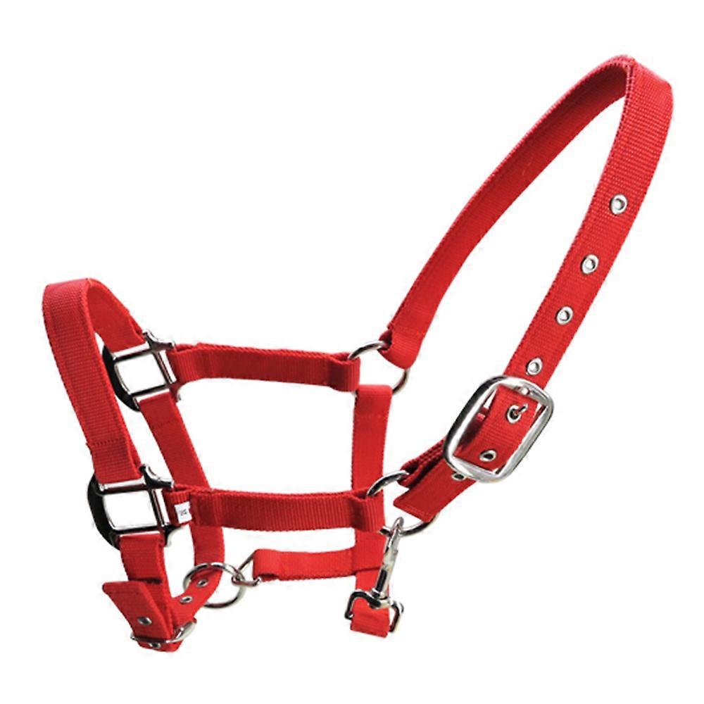 6mm Thick Horse Halter Thick Metal Buckles 3 Slots