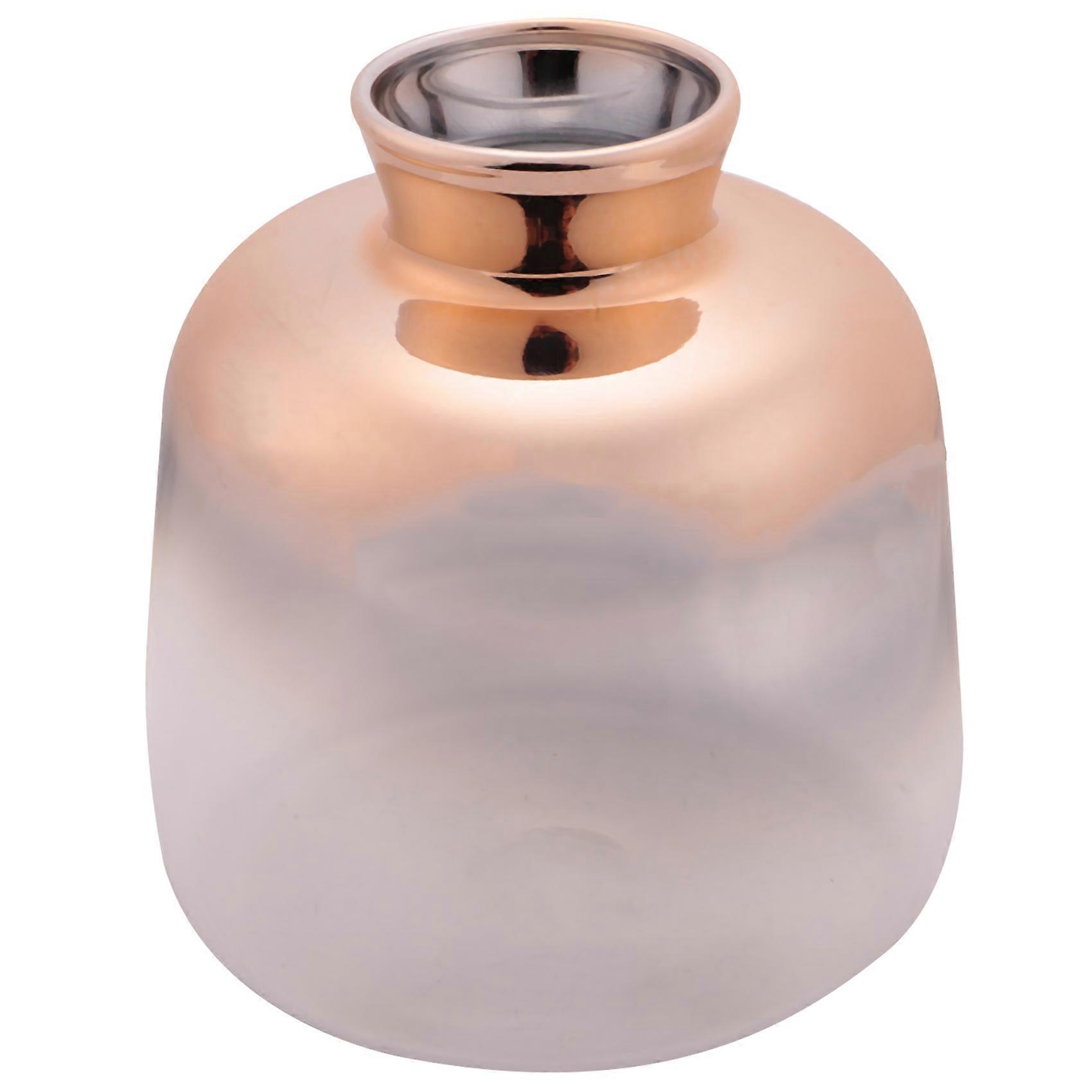 Glass Vase Nordic Electroplated Gold Vase Glass Flower Vases for Home Decor Dried Flower Bottle Bar