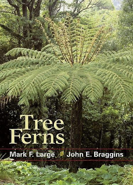 Tree Ferns by Mark F. Large Paperback