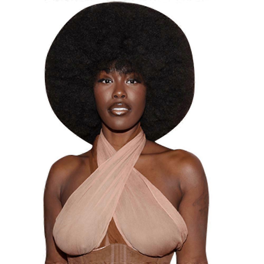 Tanerelle Stephens (Dress) Half Body Buddy Cutout