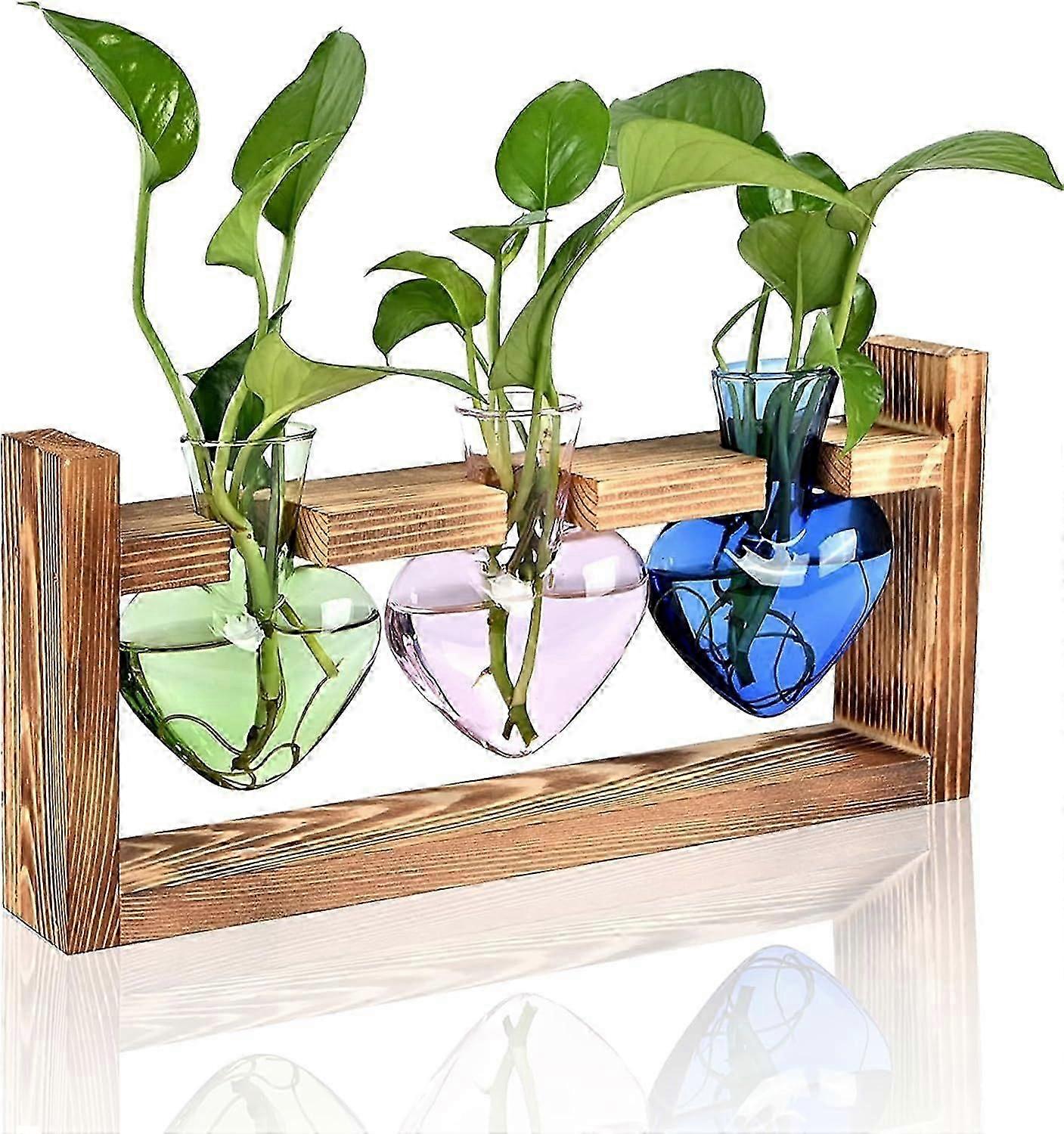 Heart Shaped Plant Propagation Station with Wooden Stand for Hydroponics Office Garden Home Decor Gifts