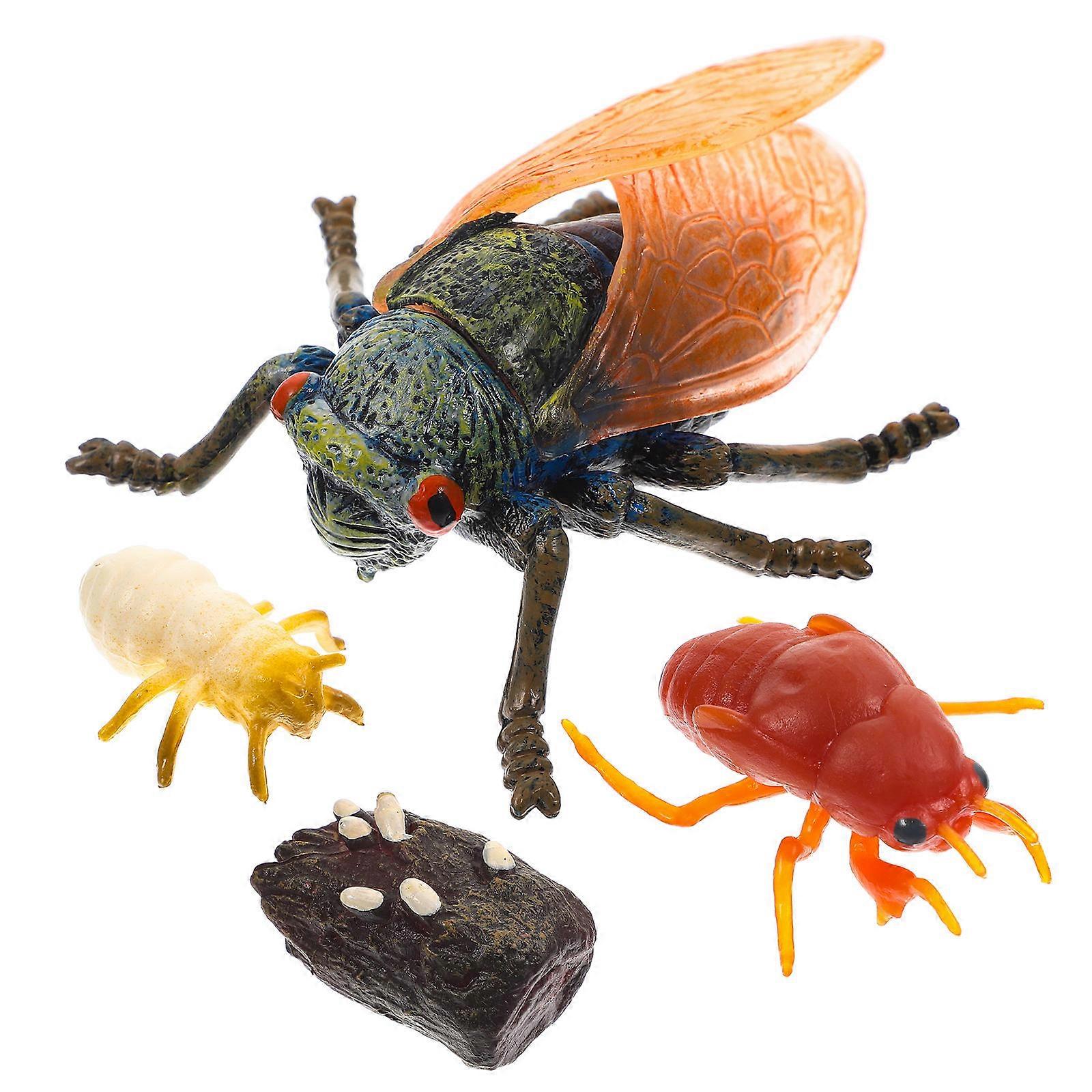 Simulation Cicada Model Ornaments for Decor 1Set of Realistic Growth Cycle Models