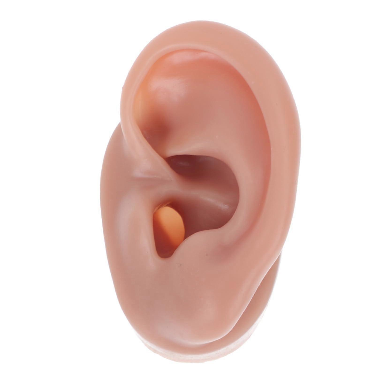 2pcs Silicone Ear Model for Piercing Practice, Realistic Reusable Display for Jewelry Showcase