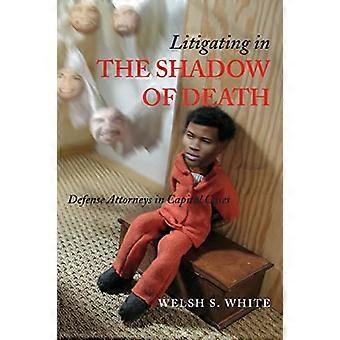 Litigating in the Shadow of Death Defense Attorneys in Capital Cases