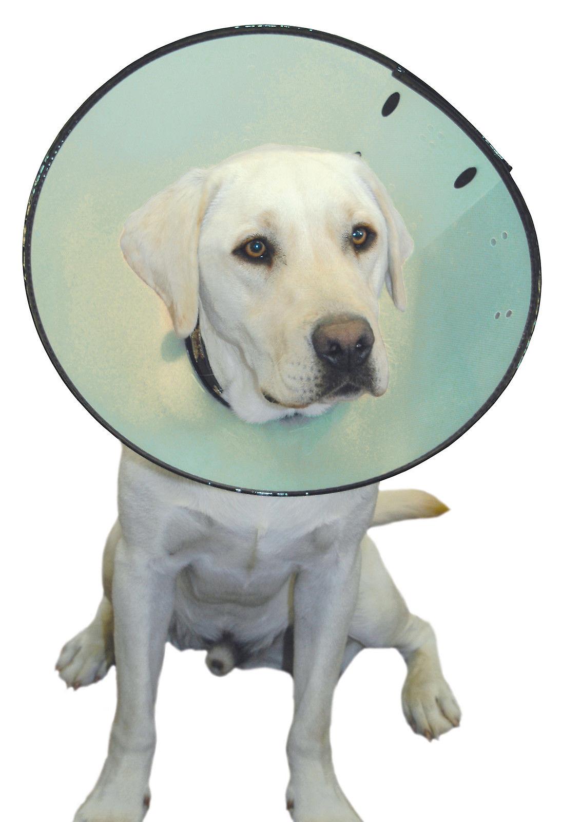 MDC Smart Recovery Collar Size 5