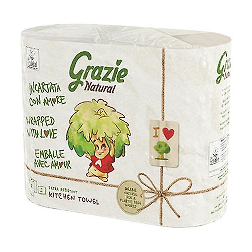 Towel Pack Absorbent Paper 2 rolls 2 units