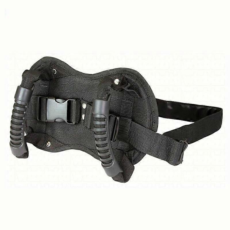 Safety Belt For Motorcycle And Scooter, Adjustable Grab Handle For Children, Passenger