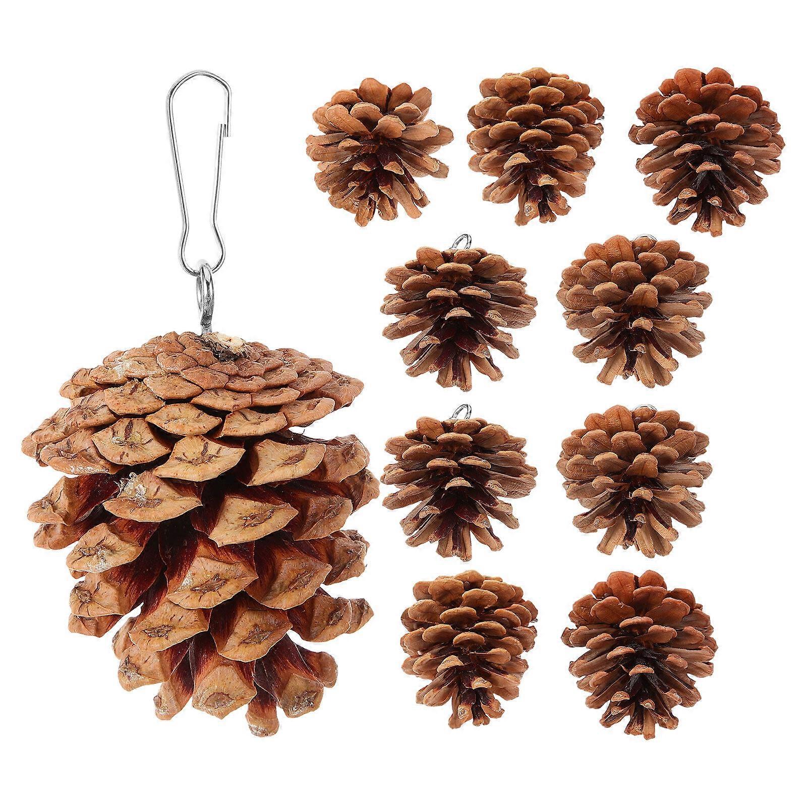 10pcs Bird Chewing Toys Bite-resistant Parrot Foraging Pine Cone Plaything