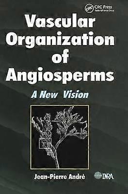 Vaskuläre Organisation von Angiospermen