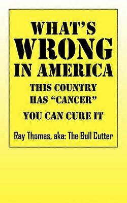 What's WRONG in America