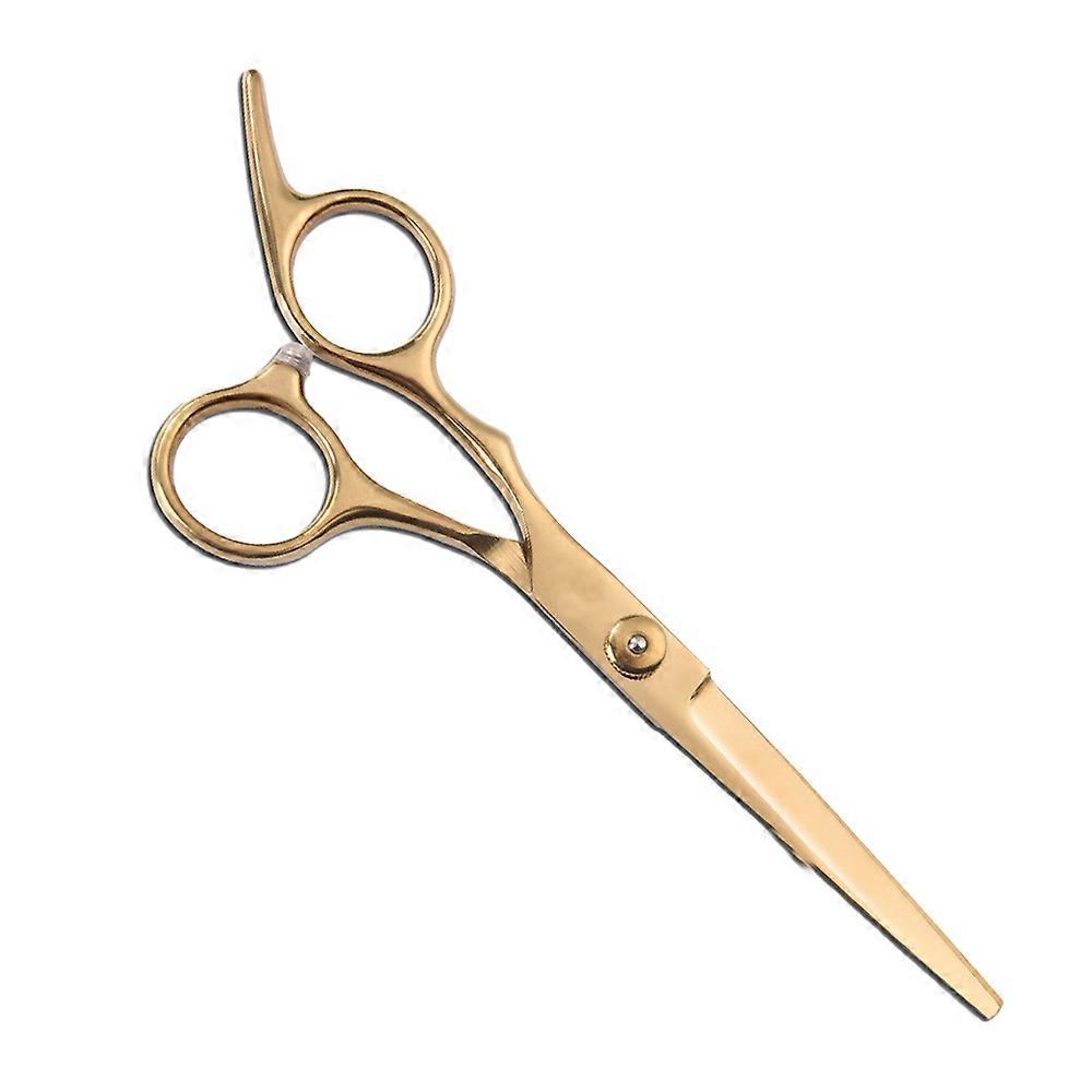 Professional Barber Shears, Cutting Scissors, Salon Hairdressing