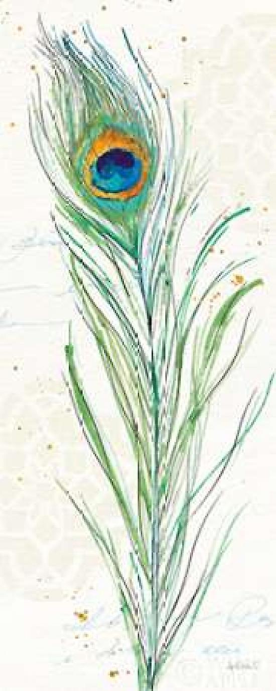 Peacock Garden VI Poster