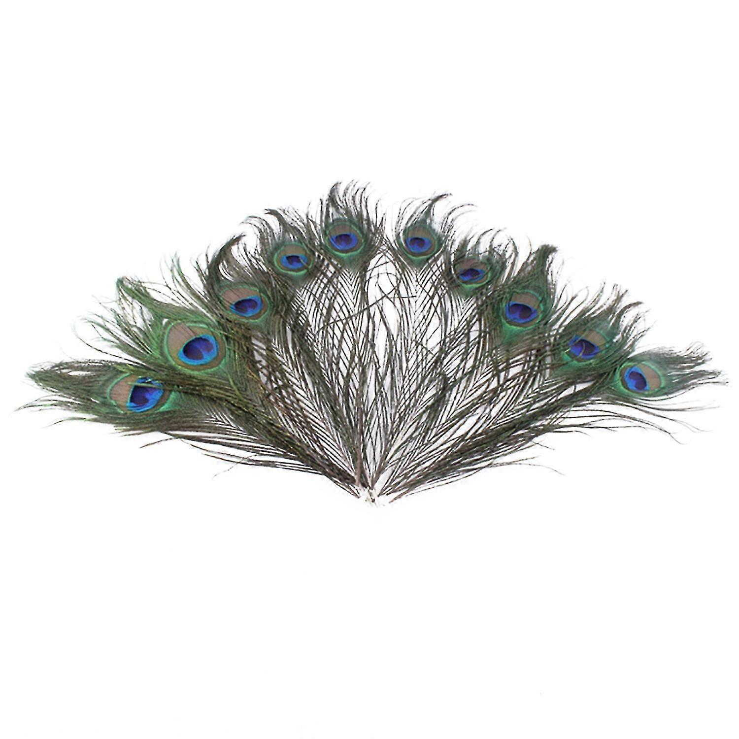 10Pcs Peacock Feathers Attractive DIY Creation Natural Peacock Eye Tail Feather for Party BoSaiD