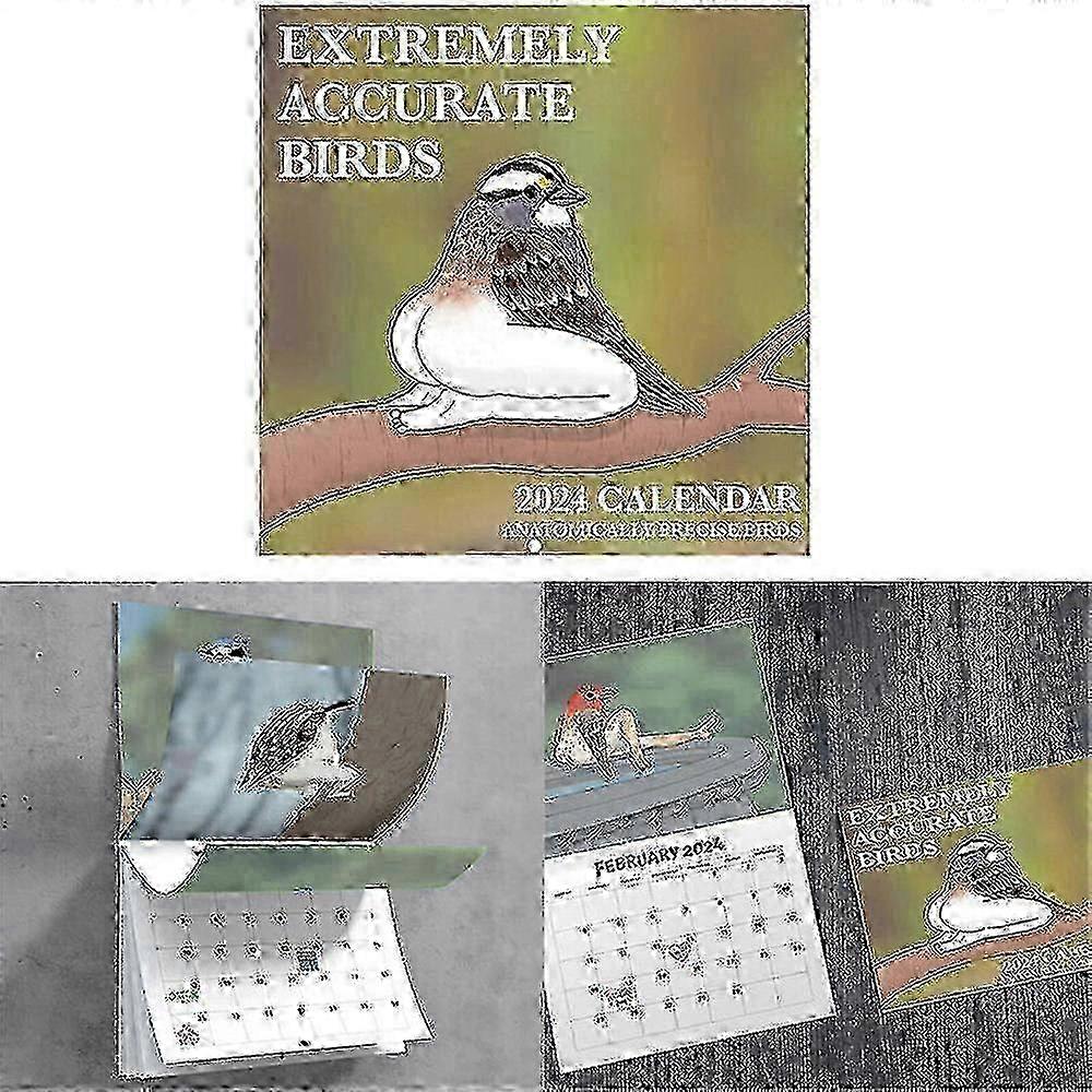 2024 European Migratory Birds Calendar with Scientific Accuracy