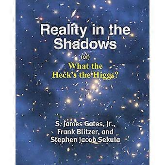 Todellisuus varjoissa (tai) Mikä hitto on Higgs?