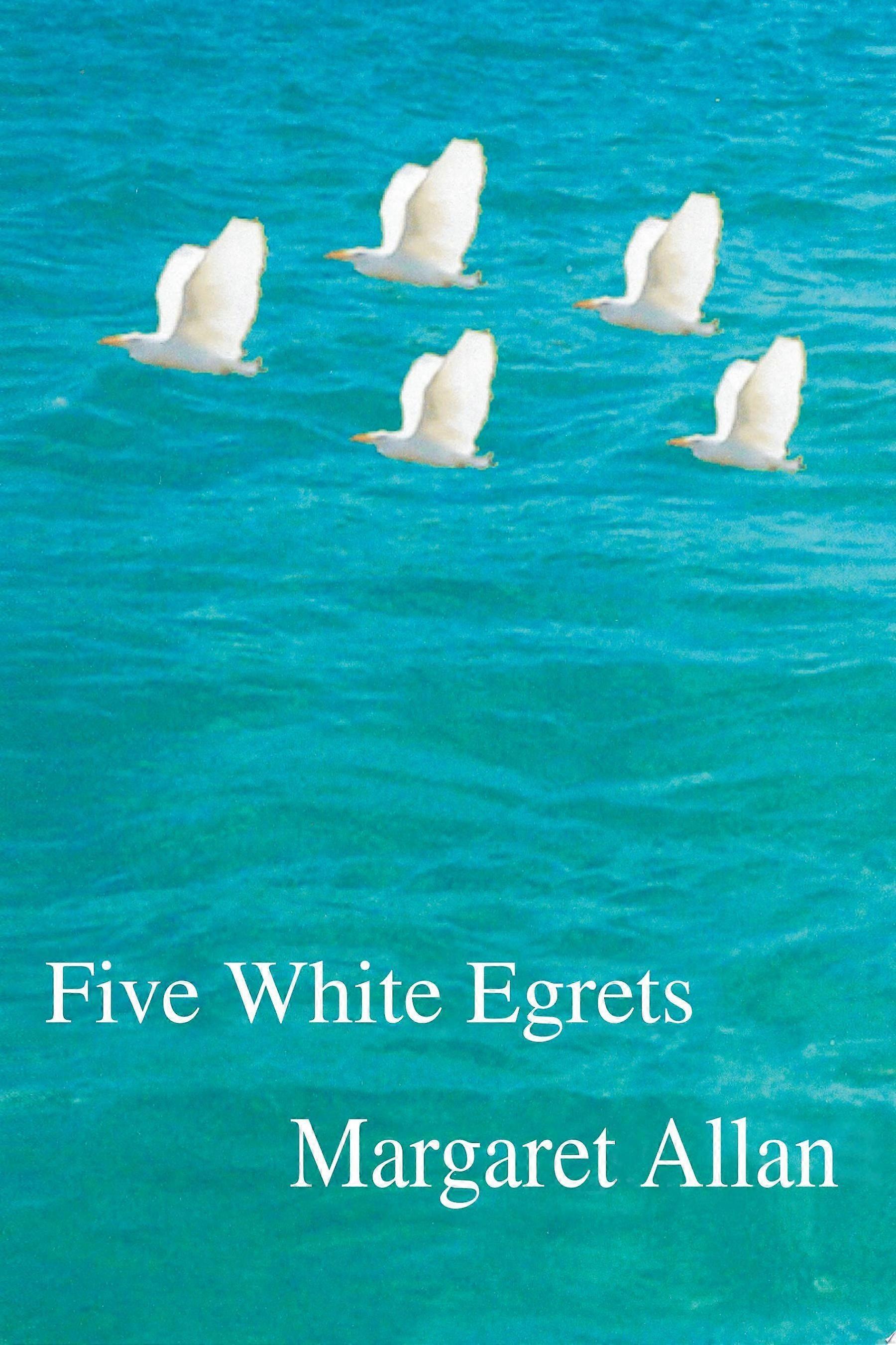Five white egrets