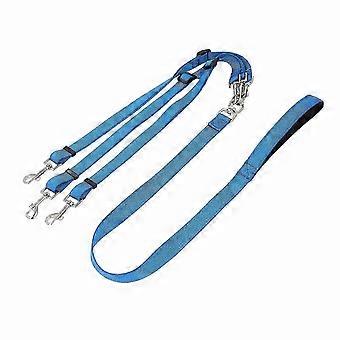 3-Way Dog Leash for Walking 3 Dogs, Detachable Nylon Lead with Padded Handle