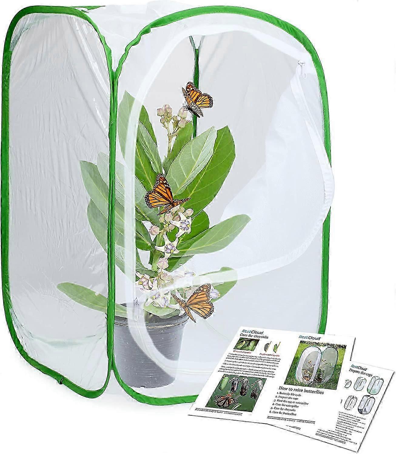 Insetos e borboletas Habitat Gaiola Terrarium Pop-up 23,6 polegadas de altura
