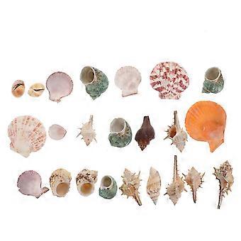 Aquarium Decoration Simulation Conch Shells for Decoration 1Pack 200G