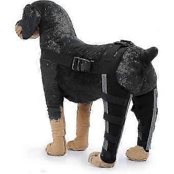 One Pair Adjustable Dog Rear Leg Support Brace - Joint Bandage for Canine Injuries & Sprain Prevention, Canine Leg Protector