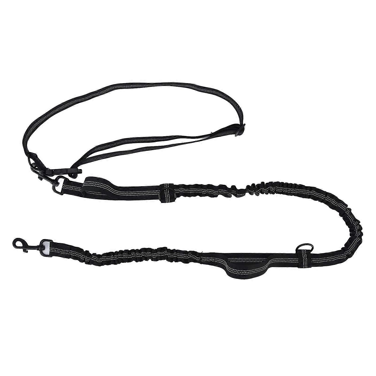 Bungee Dual Handle Reflective Leash
