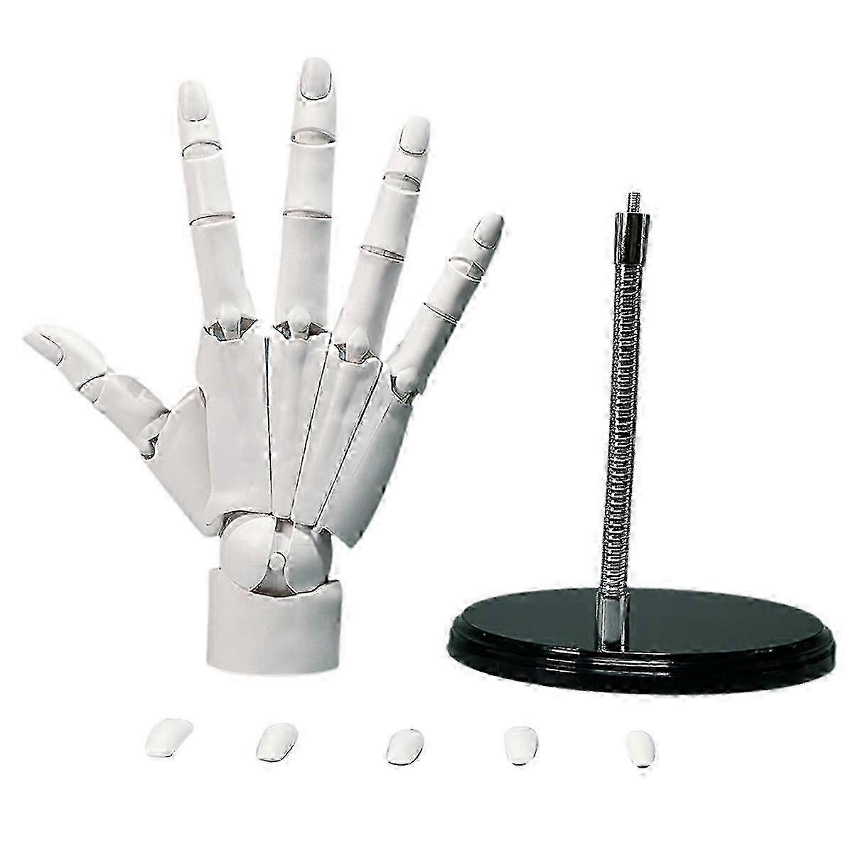 Realistic Movable Artist Hand Model