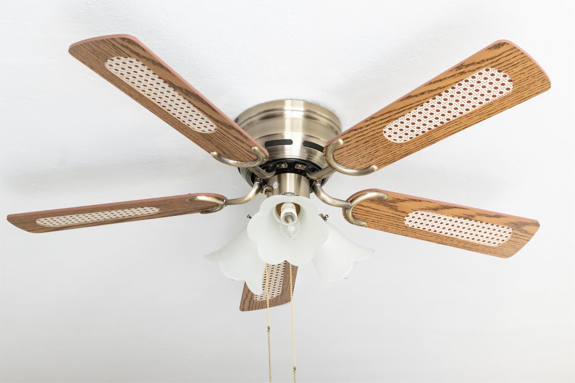 Ceiling fan Kisa Deluxe AB Oak / Walnut with lights