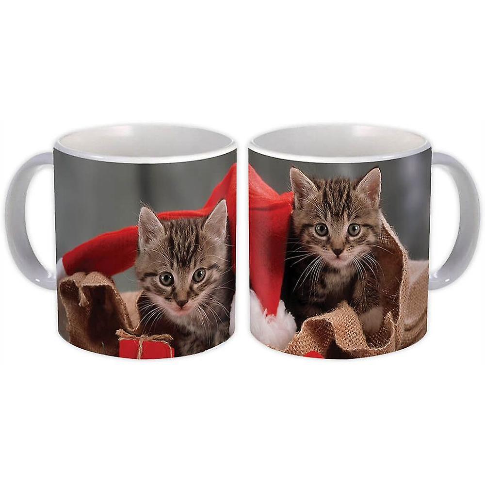 礼品杯:猫动物