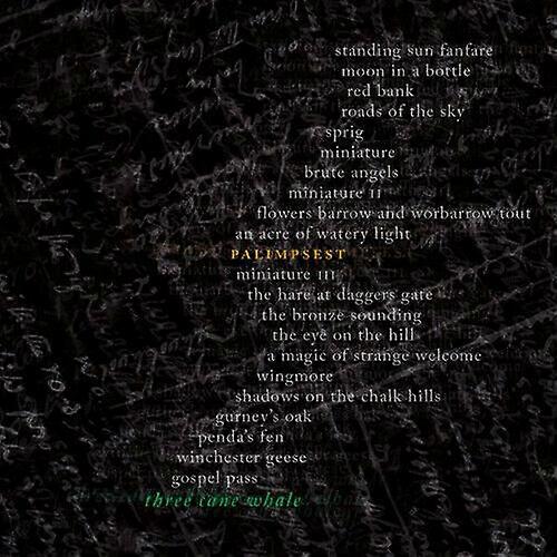 Three Cane Whale Palimpsest CD (2016)