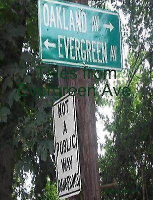 Tales from Evergreen Ave.