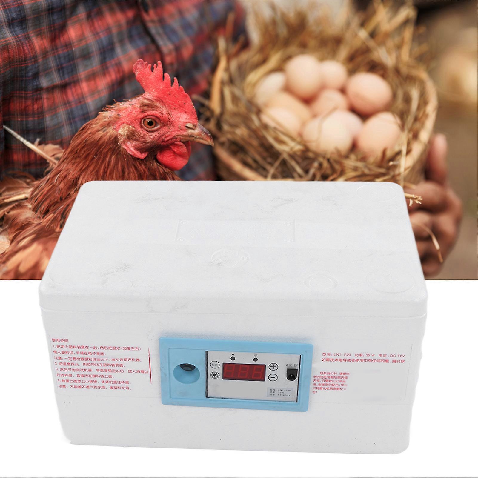 Egg Incubator Small Multifunctional Household Chicken Incubator for Hatching Chick Goose Duck 100‑240V