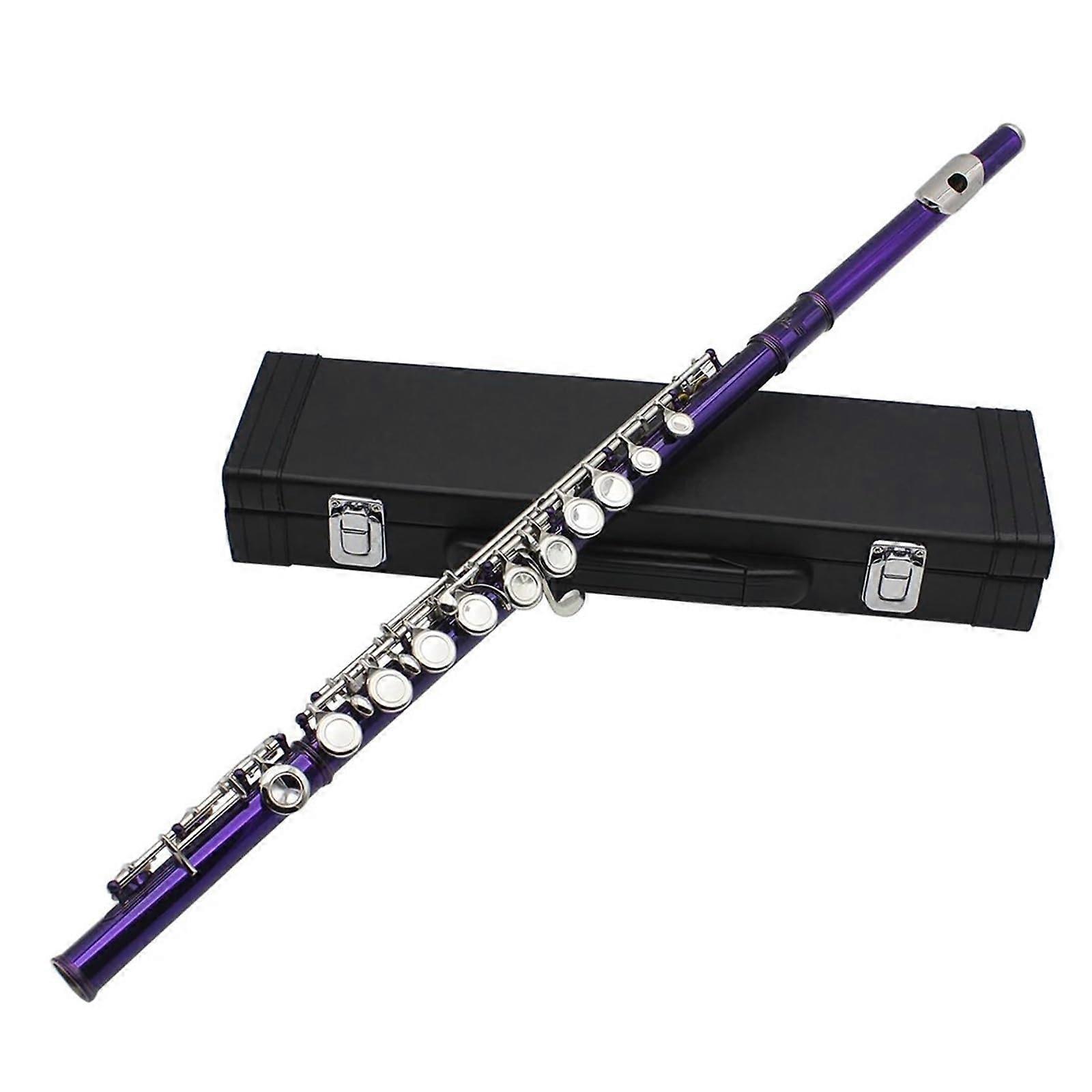 Purple Flute with 16 Holes, C Tuning, E Key, Woodwind Instrument, NickelPlated SilverCopperNickel Tube Flute with Accessories