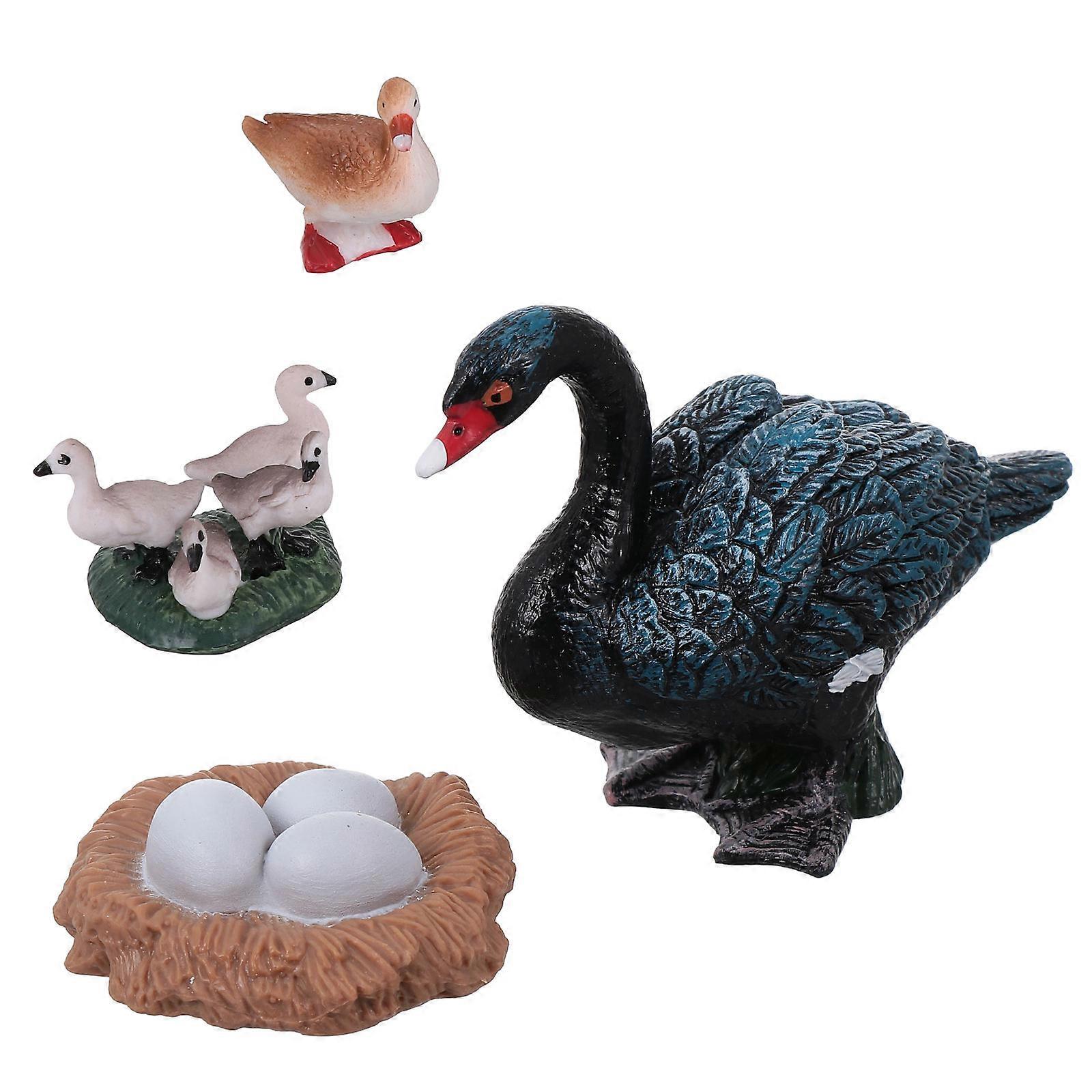 Life Cycle Learning Toys Simulated Plastic Animal Models for Educational Play Assorted Color Material with Early Education Props 1Set
