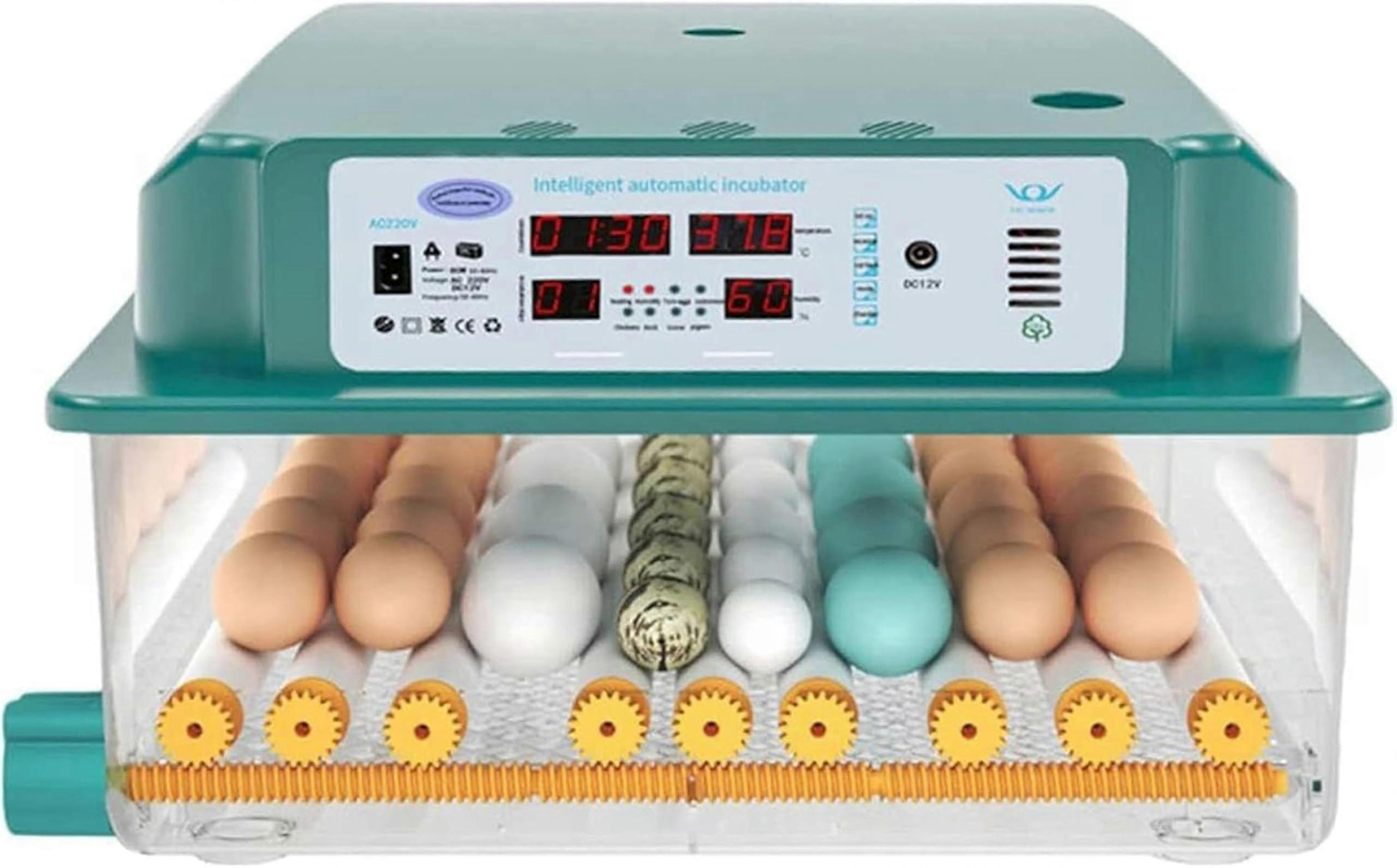 Incubator Fully Automatic Egg Incubator For Domestic Farm Chickens And Birds Plastic Housing Large Size