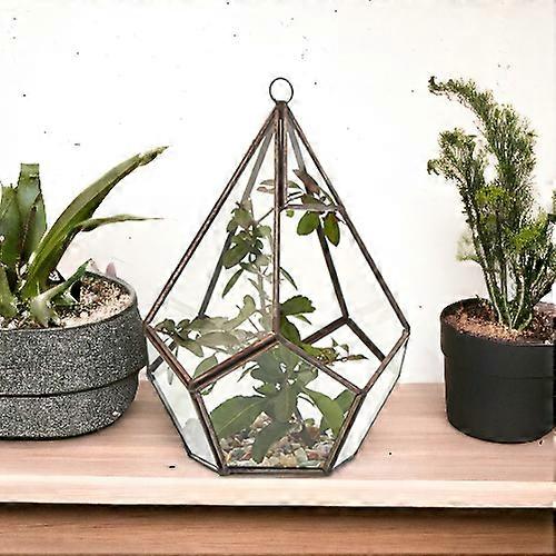 Glass Terrarium - Large Pentagon X 1