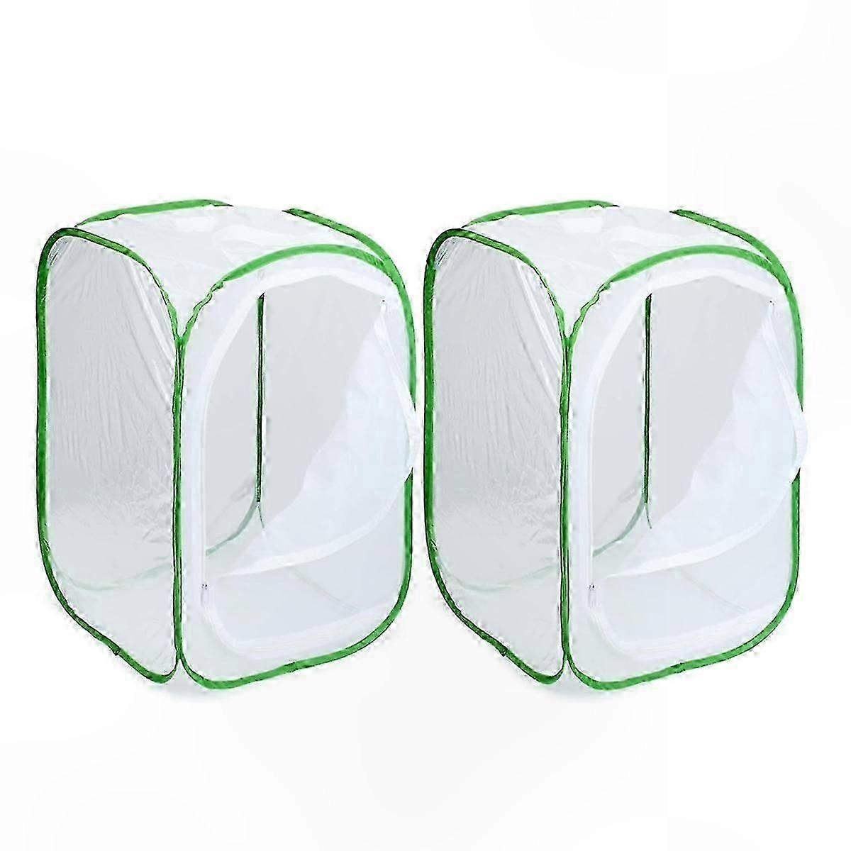 2-Pack Bug and Butterfly Enclosure Cage