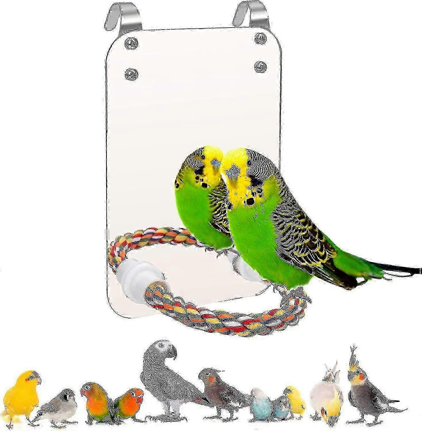 Bird cage mirror with rope and stand for parrots and parakeets.