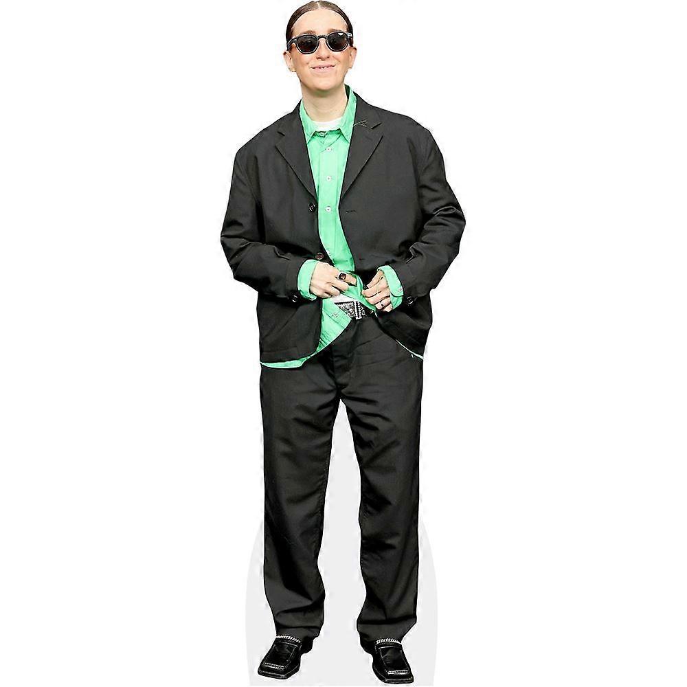 Robby Hoffman (Suit) Cardboard Cutout (lifesize OR mini size). Standee. Stand Up.