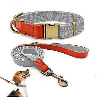 Collare e guinzaglio per cani - Qianruida - Nylon - Argento - Taglia M - Per addestramento