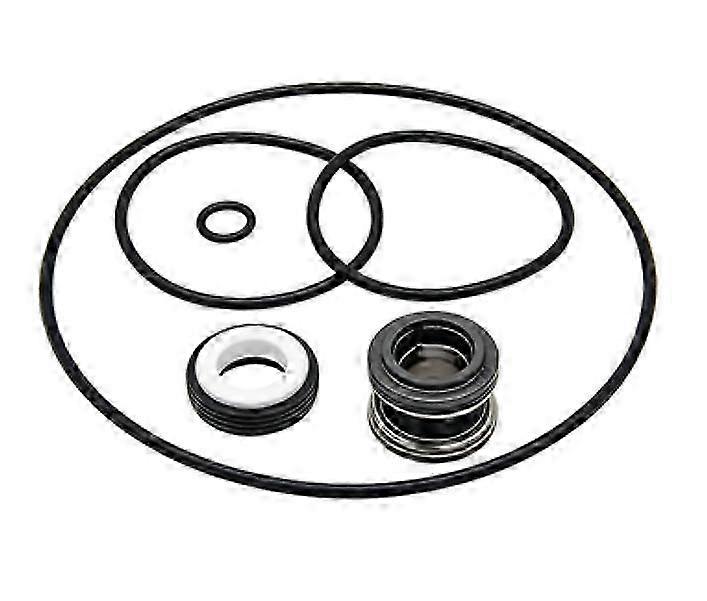 PS200 SuperFlo SuperMax Seal Rebuild Kit
