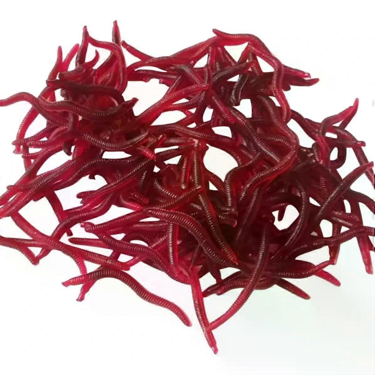 50 Pcs Bionic Worm Fishing Plastic Lures 4cm Simulation Earthworm