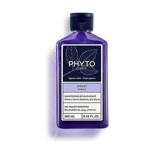 Anti-yellowing shampoo (violet) 250 ml