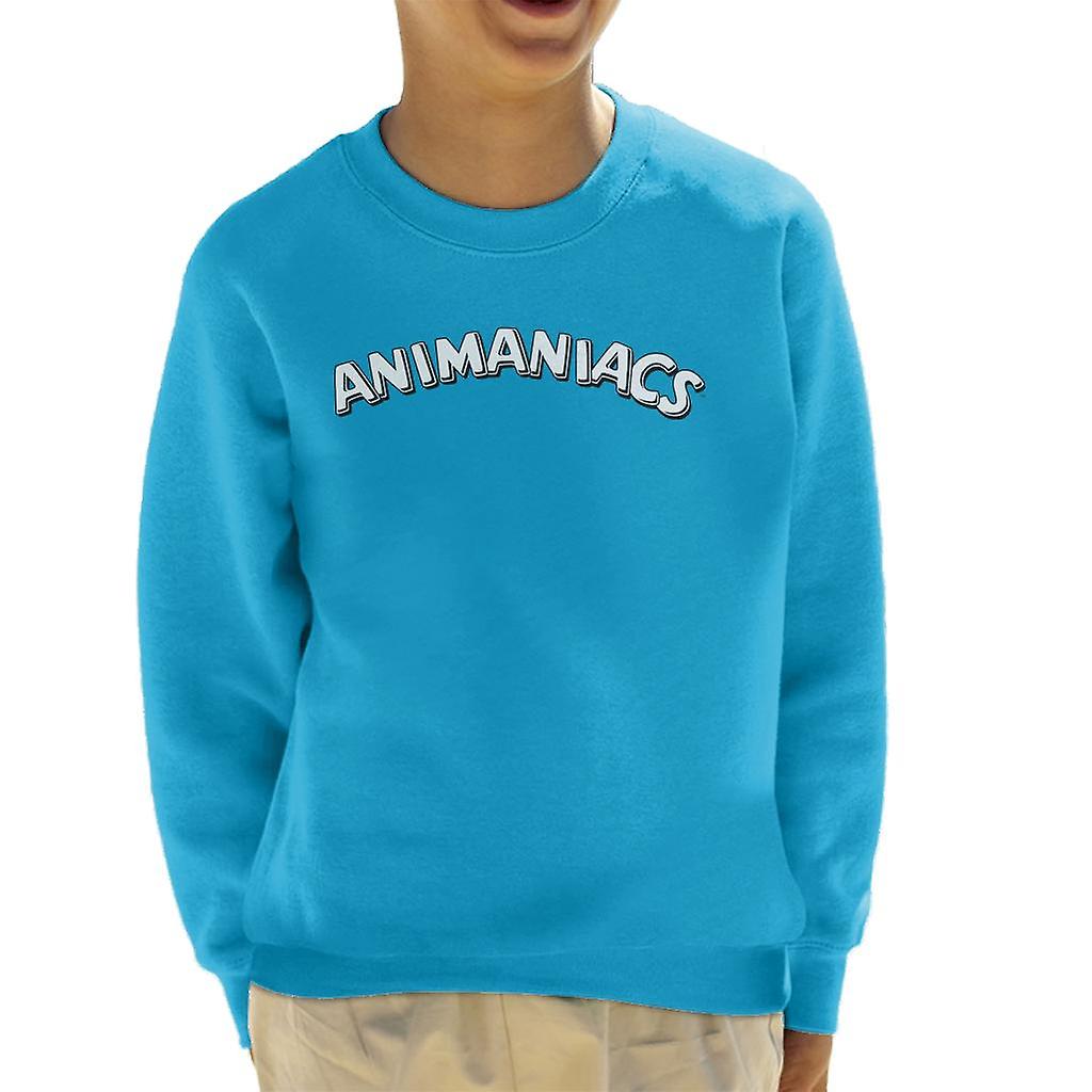 Animaniacs Classic Text Logo Kid's Sweatshirt