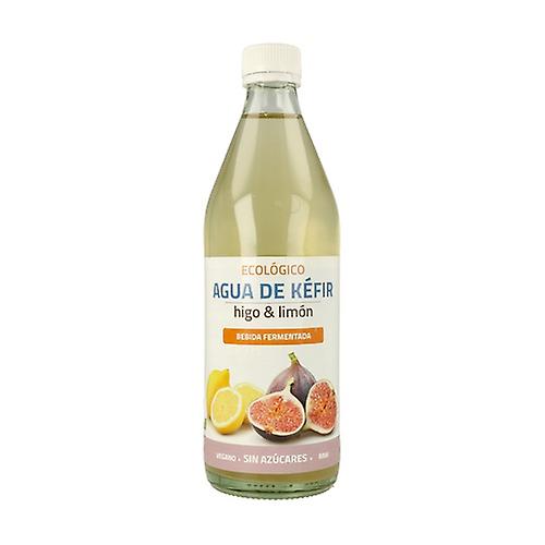 Kefir water with fig and lemon 500 ml